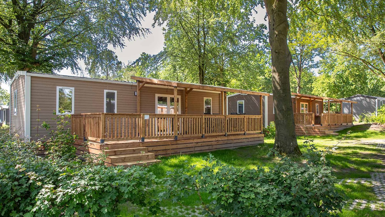 6pers chalet Zonneroos Molecaten Park Bosbad Hoeven 12