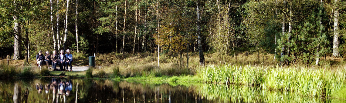 Molecaten Park De Koerberg 26