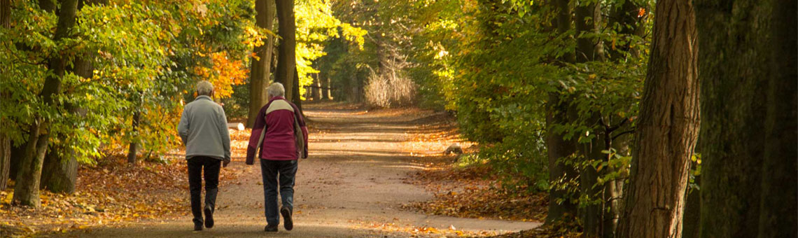 Molecaten Park De Koerberg 27