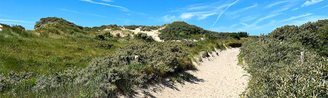 Molecaten Park Kruininger Gors 21