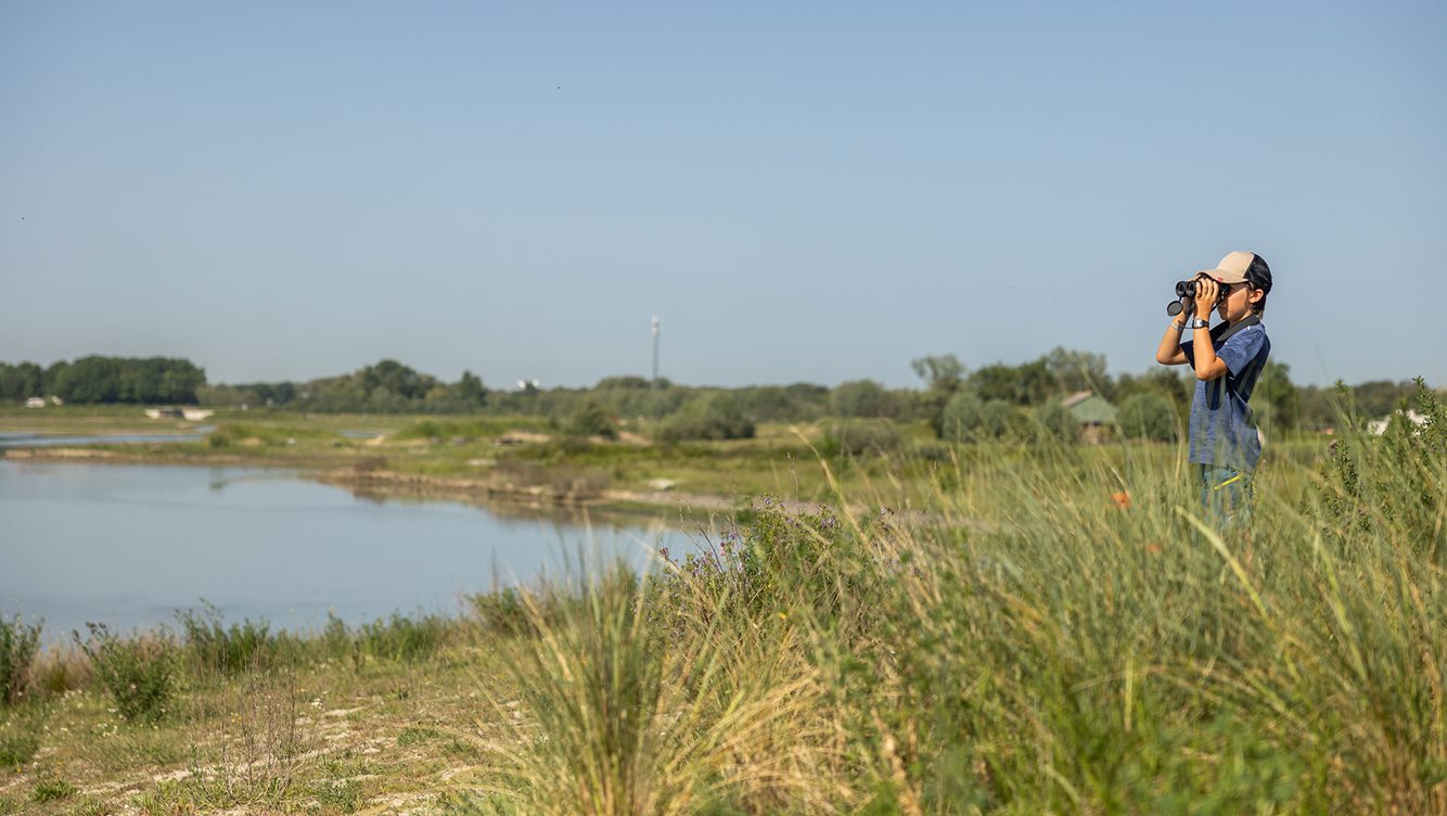 Molecaten Park Waterdunen 39 natuurgebied