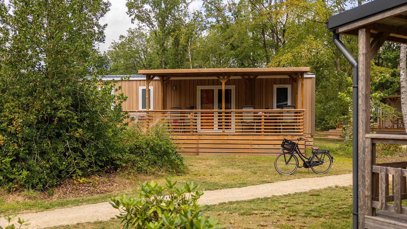 6pers chalet Zonneroos Molecaten Park t Hout 12