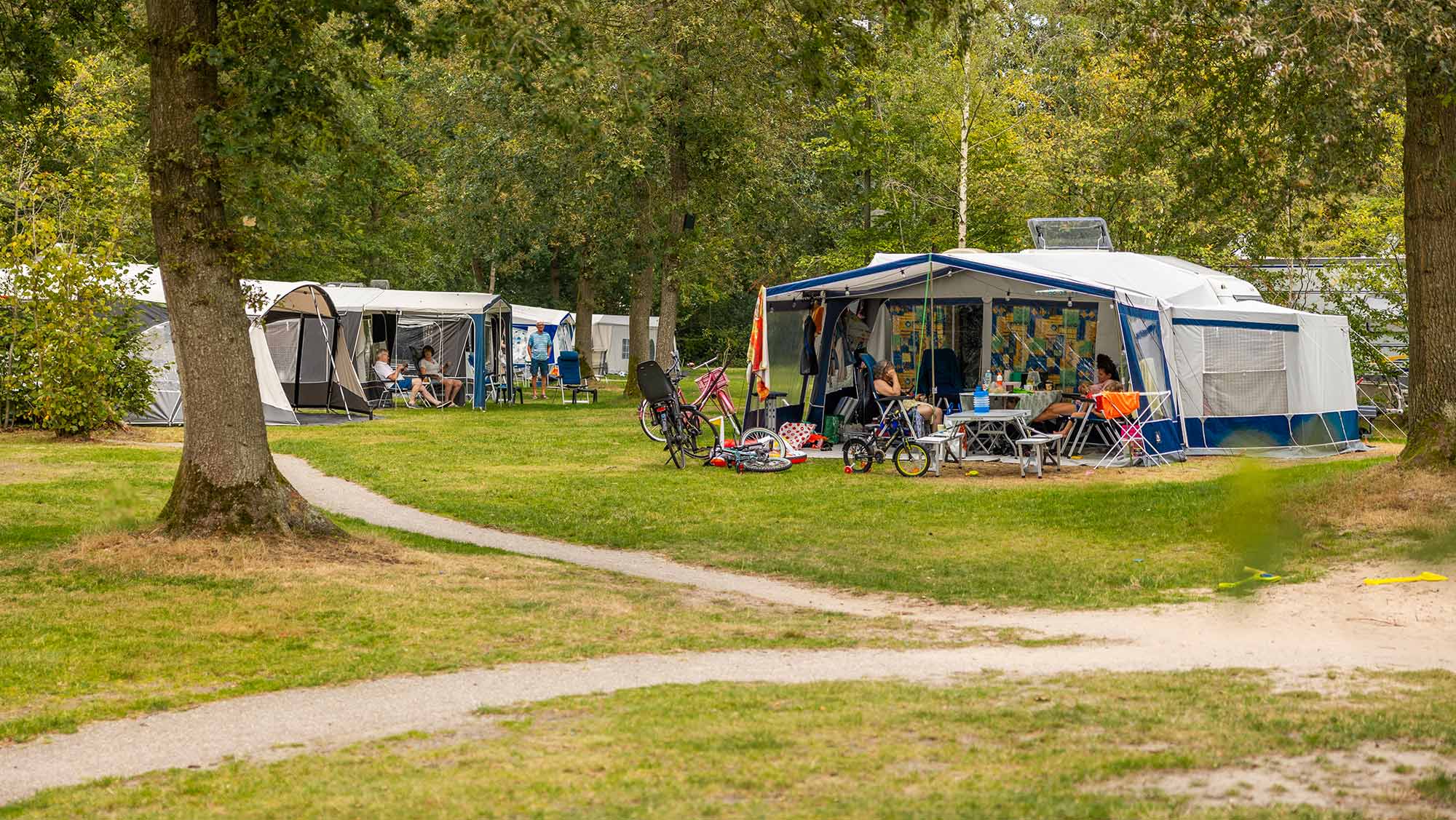 Comfortplaats A kamperen Molecaten Park t Hout 08