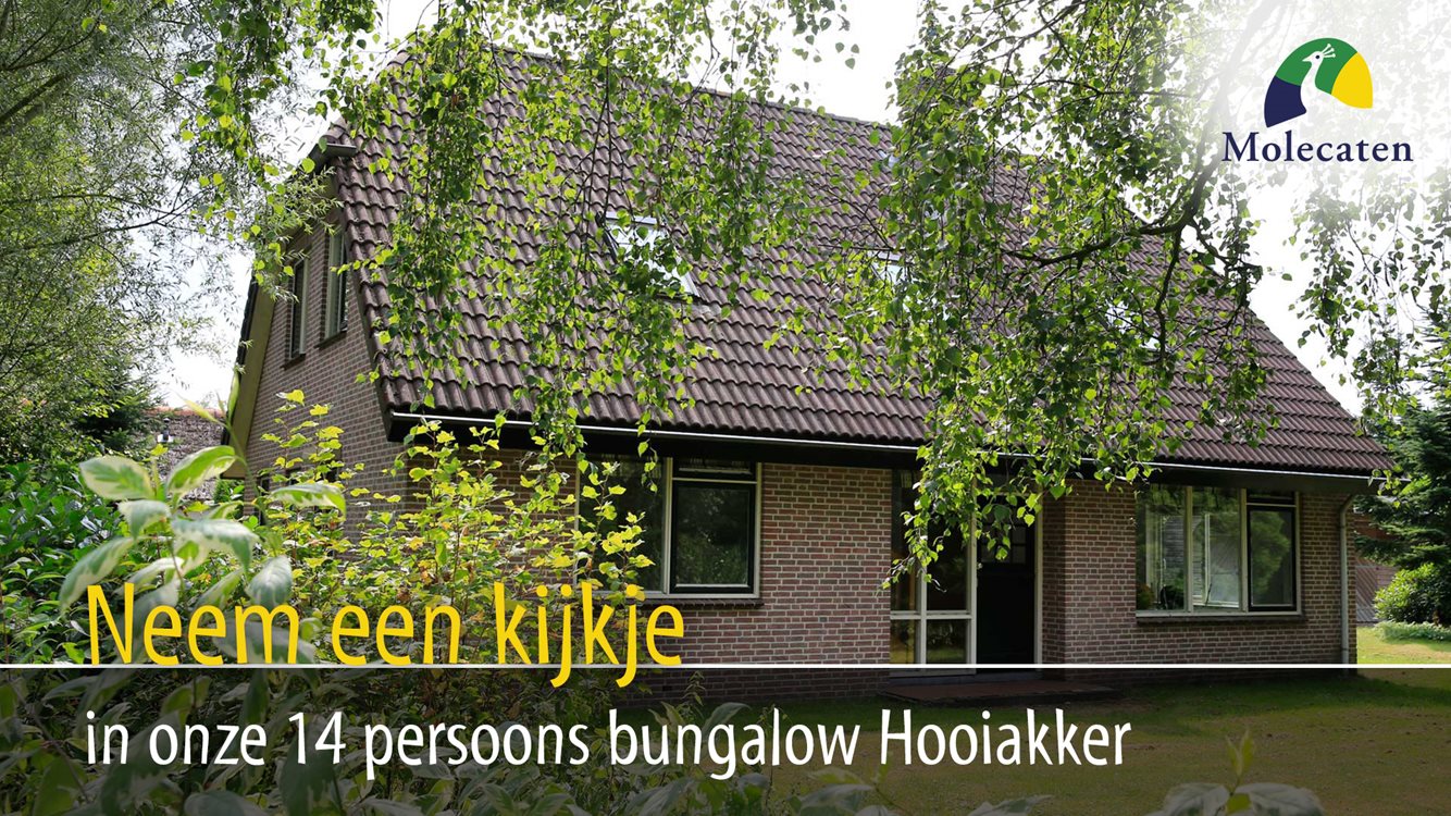 Een effectief sigaret controller 14-persoons bungalow Hooiakker in Drenthe | Molecaten Park Het Landschap